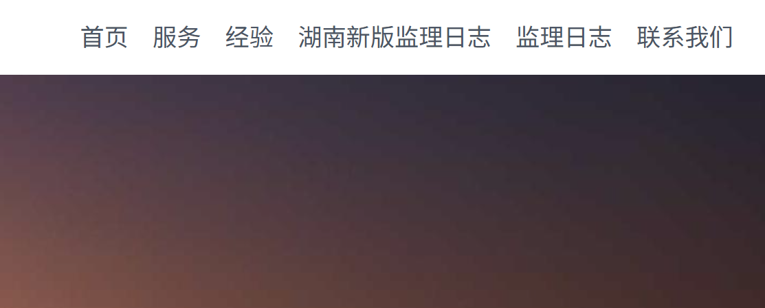 监理日志智能助手系统界面